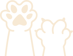 A pair of raised paw outlines, one showing a paw pad and claws in outline, and the other showing more detail, suggesting a theme of paws or scratching/play.