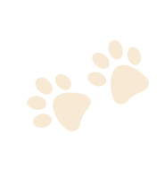 Two solid, stylized paw prints (likely dog or cat) in the orange/brown color.